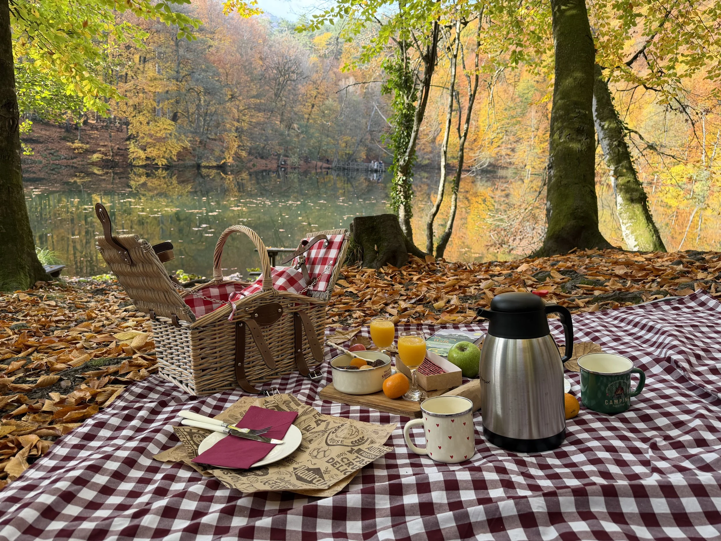 cozy picnic in autumn