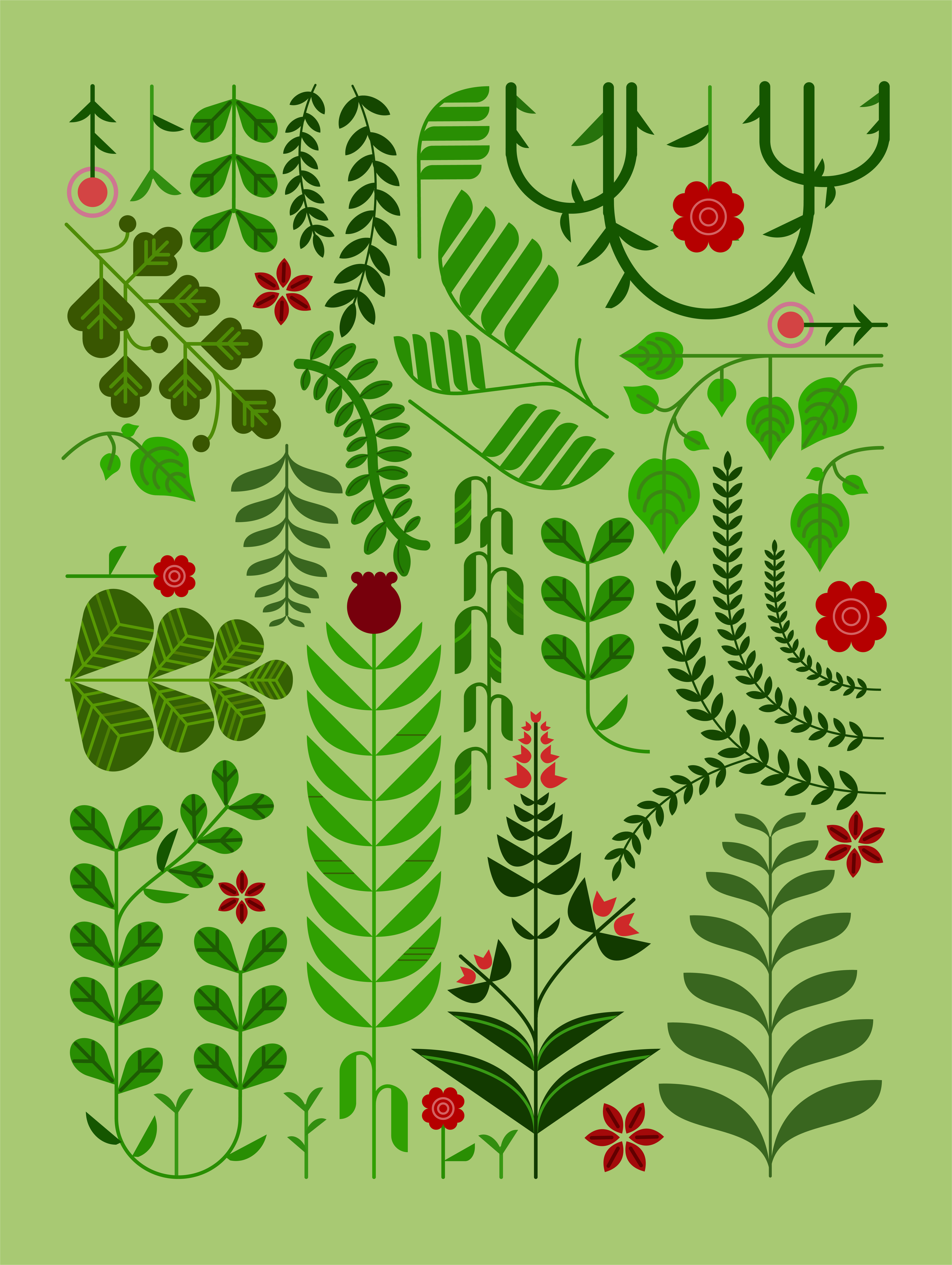 Illustrations