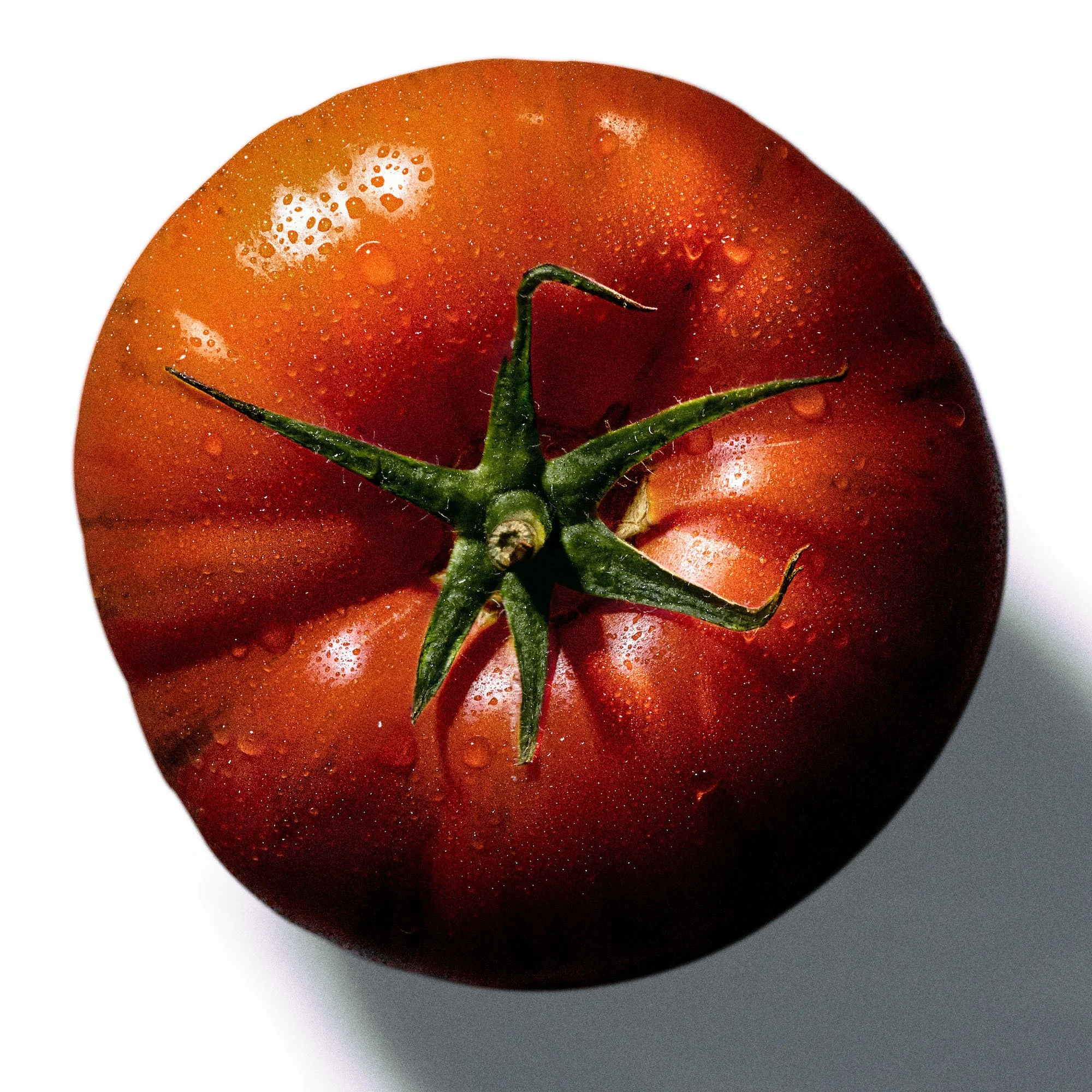 Tomato_B_V2.jpg
