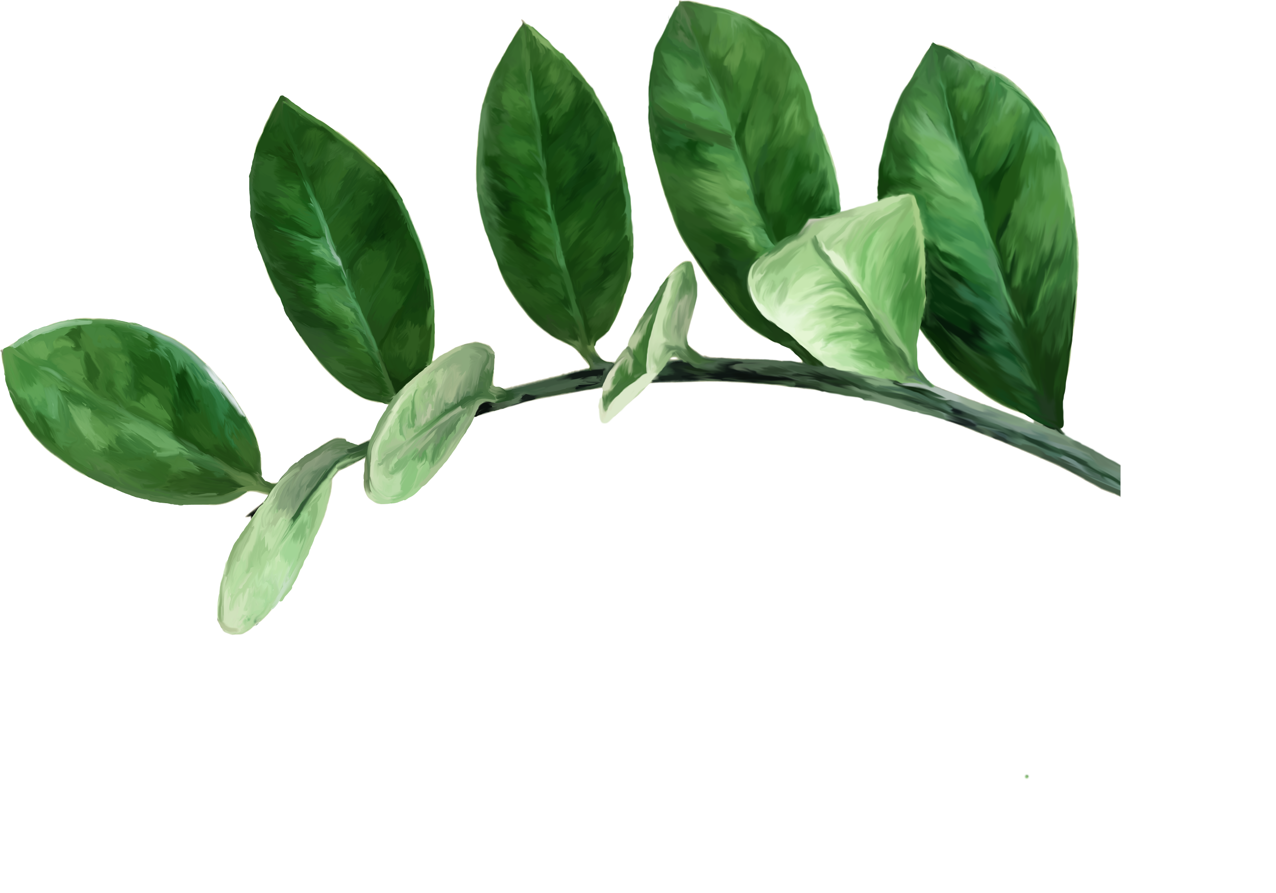 plant-1.png