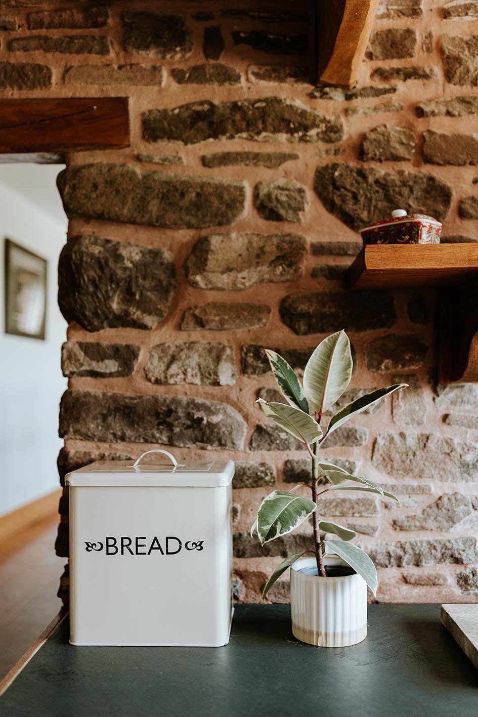 A white bread box and a potted plant with broad, variegated green and white leaves on a dark tabletop against a rustic stone brick wall.
