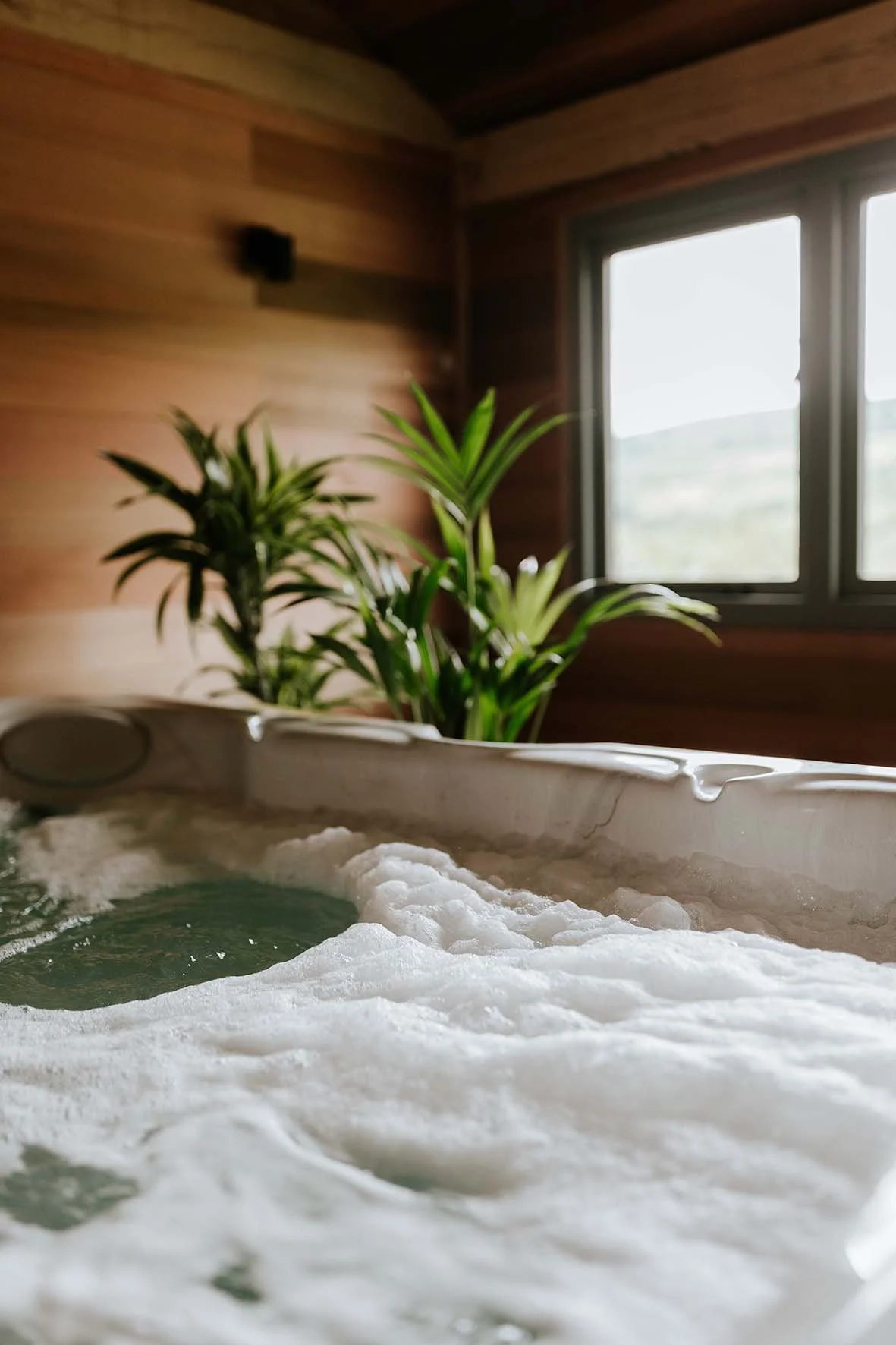 Indoor hot tub with bubbling water, wooden walls, a window with a view outside, and a green plant in the background.