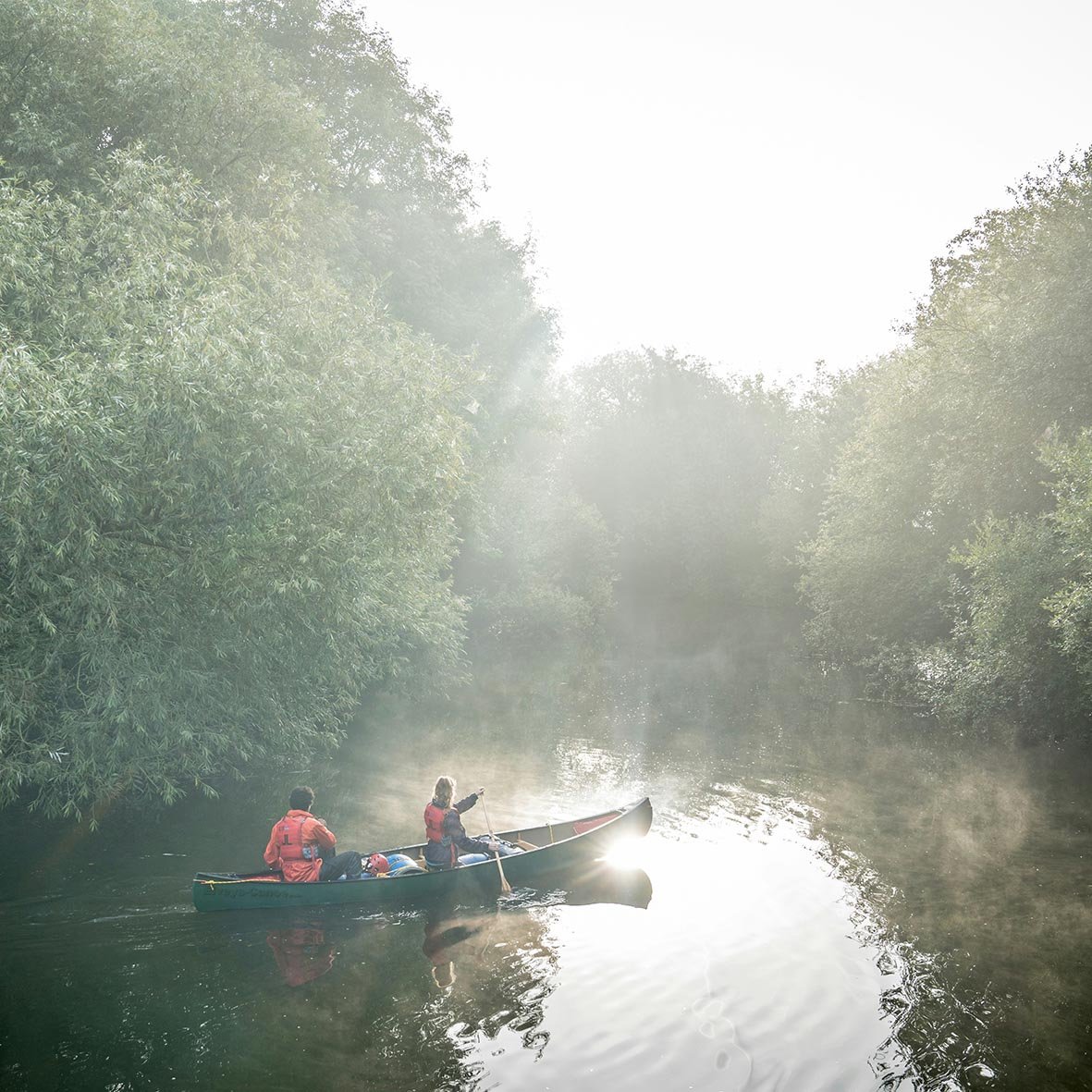 Two people in a canoe paddling on a misty river surrounded by lush green trees.