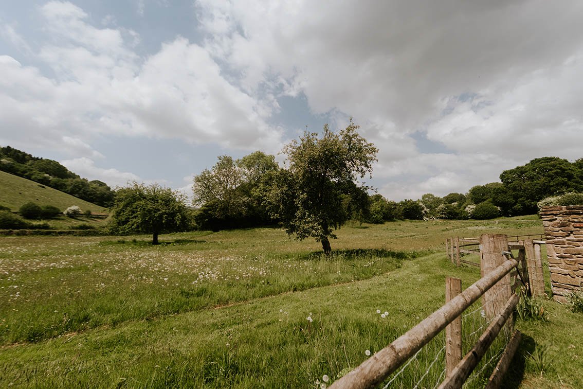 A rural landscape with a grassy field, trees, a cloudy sky, and a wooden fence.