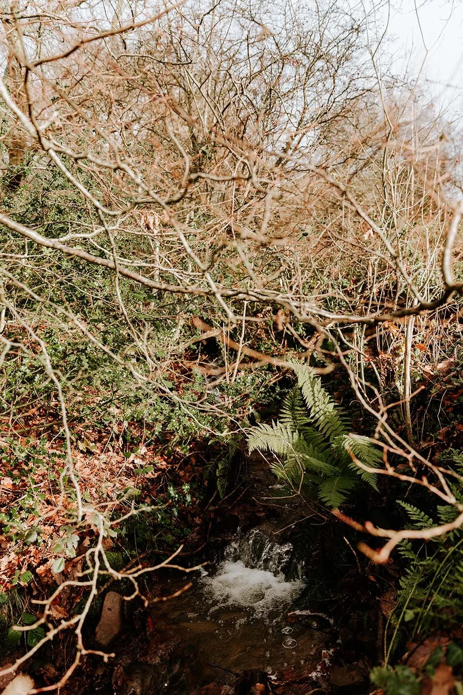 177-sugar-loaf-retreats-old-cider-mill-outside-brook-stream.jpg