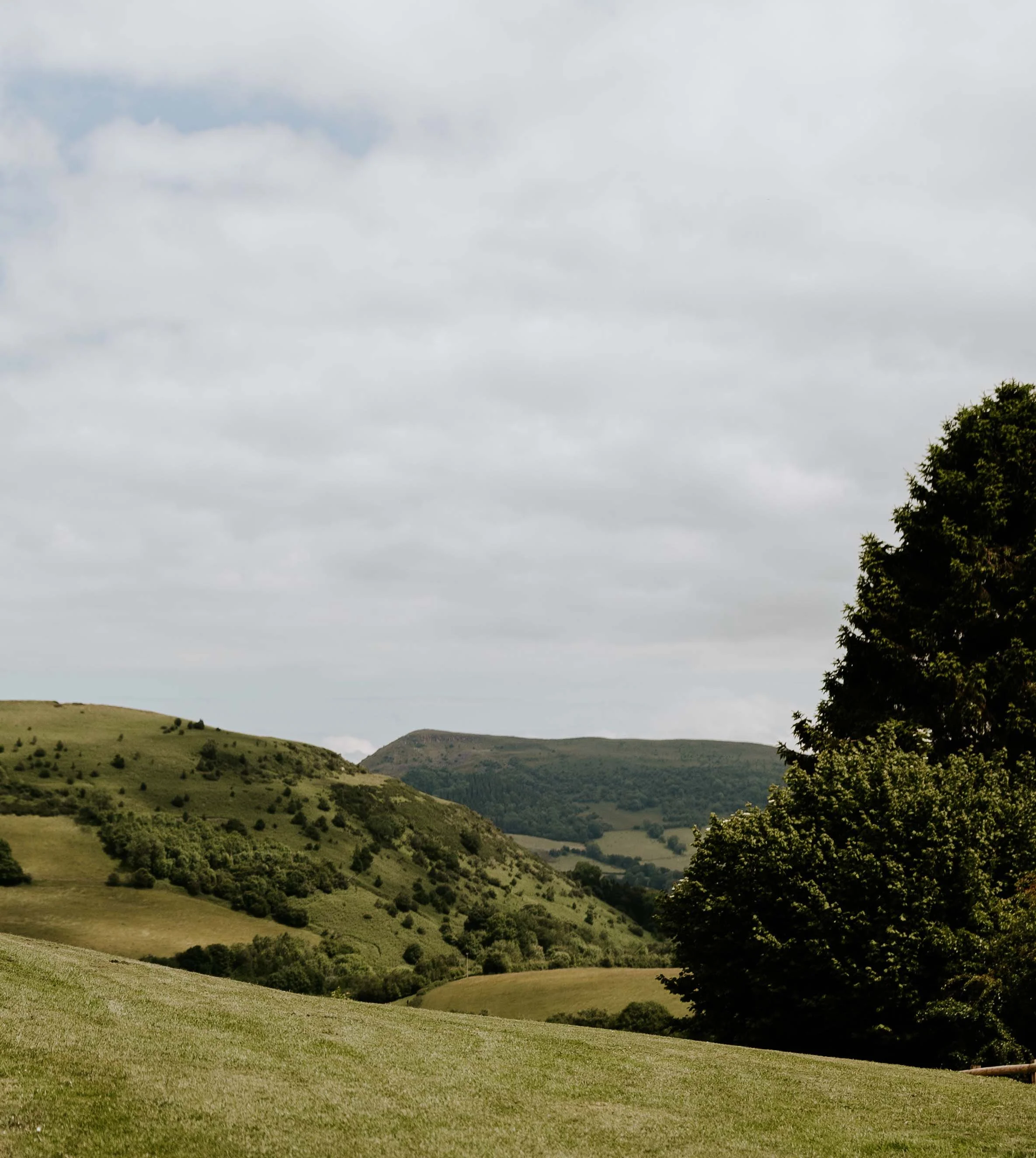 A scenic view of rolling green hills with patches of trees under a cloudy sky.