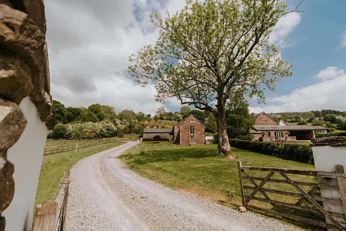 A rural scene with a winding gravel driveway leading to brick houses amidst green grass and trees under a partly cloudy sky.