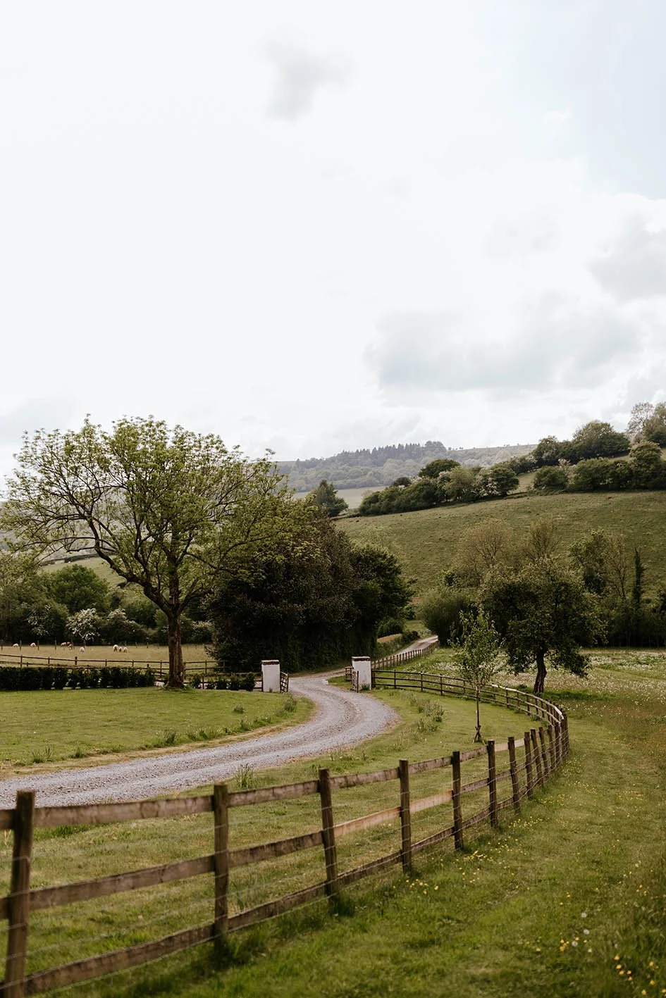 A dirt road winding through lush green fields with trees and rolling hills in the background, under a cloudy sky.