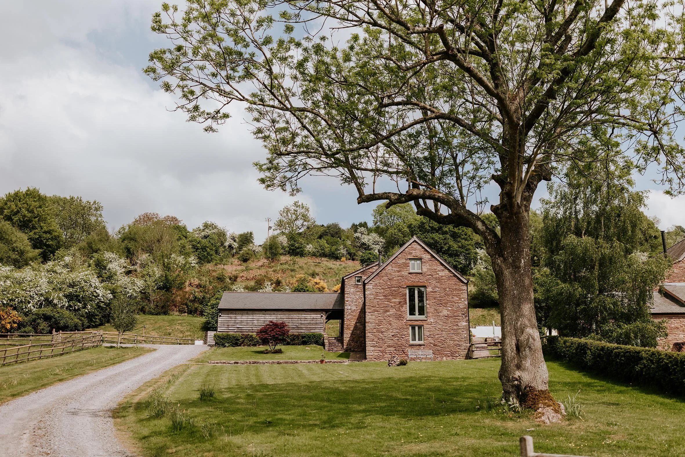 A rural scene with a large tree in the foreground, a gravel driveway, a brick house, and a hedge on a grassy lawn, with a hillside and trees in the background under a partly cloudy sky.
