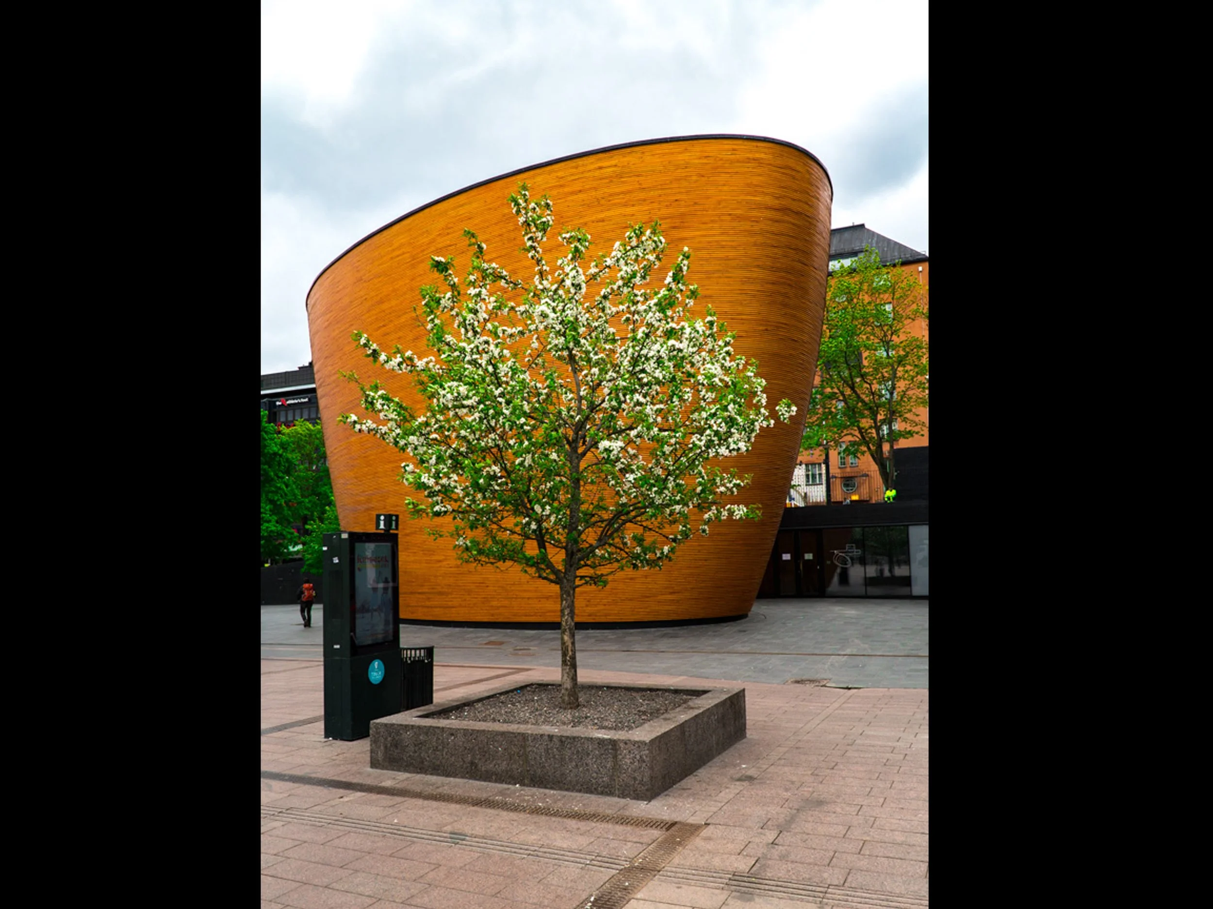 DSC00581-Edit copy 2.jpg