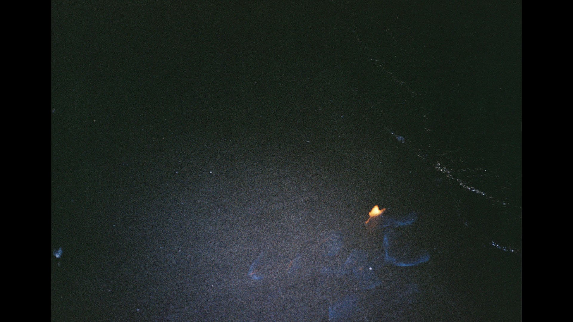化ける鳴き声 the shore is my space i am changing