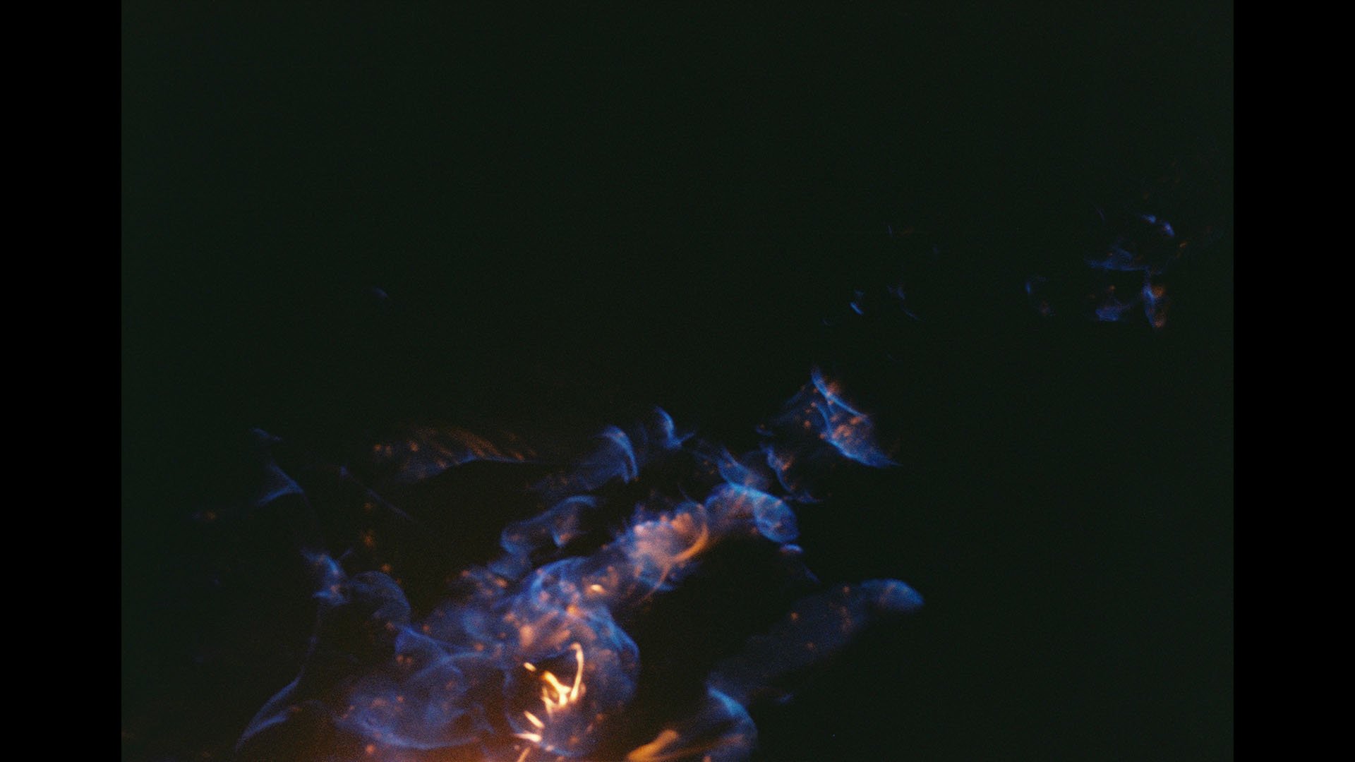 Anna Gabriele
化るなき声 the shore is my space i am changing
2017
___
performance, analog photography (35mm)
series of pictures