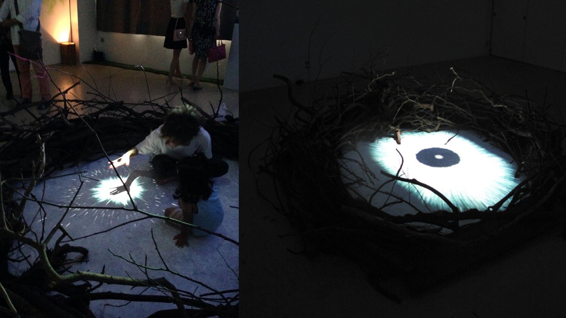 Anna Gabriele
ぶっとんでいたいのさ UNIVERSE AND BREATH
JP, 2014
___
installation
animated film (300 drawings of explosions), sound, bird's nest made of wood, sound