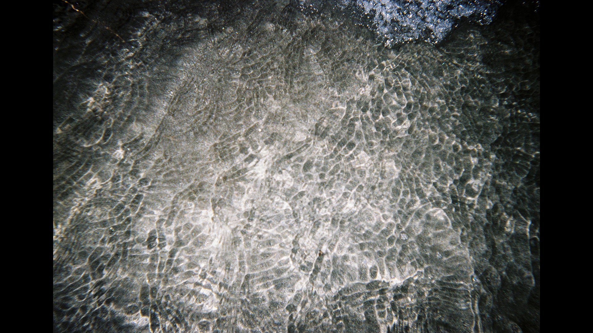 Anna Gabriele
化るなき声 the shore is my space i am changing
2017
___
performance, analog photography (35mm)
series of pictures