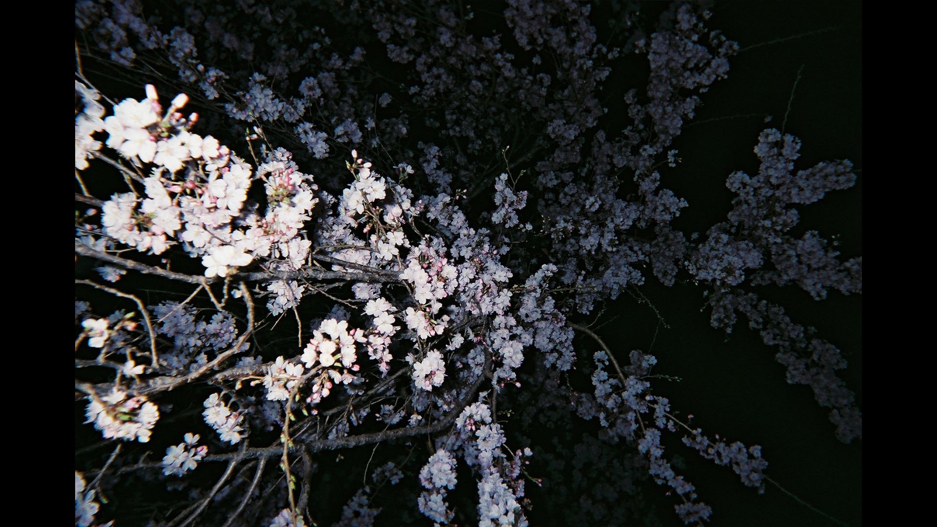 Anna Gabriele
at that luminous night
2019
___
analog photography (35mm)
series of three pictures
___
epoxy resin, luminous pigment on photo print, guitar string
H:45cm W:13cm D:1cm