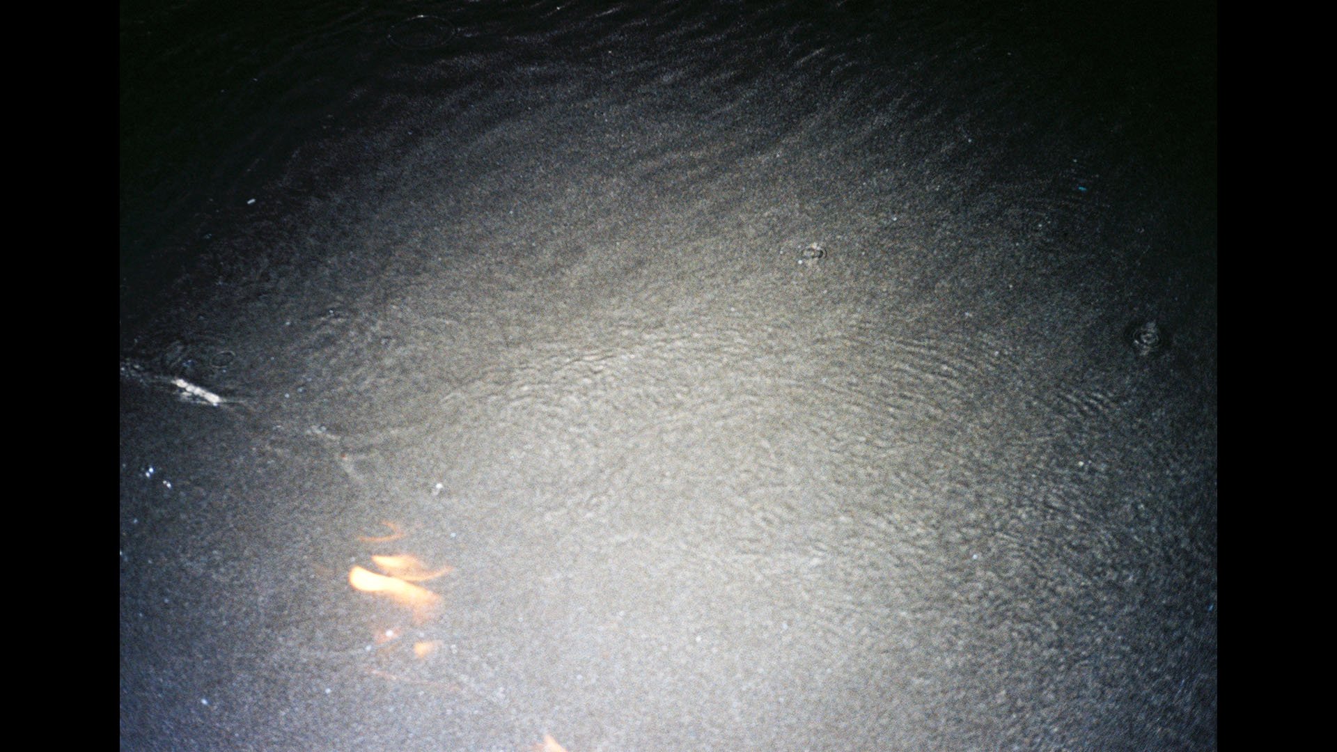 Anna Gabriele
化るなき声 the shore is my space i am changing
2017
___
performance, analog photography (35mm)
series of pictures