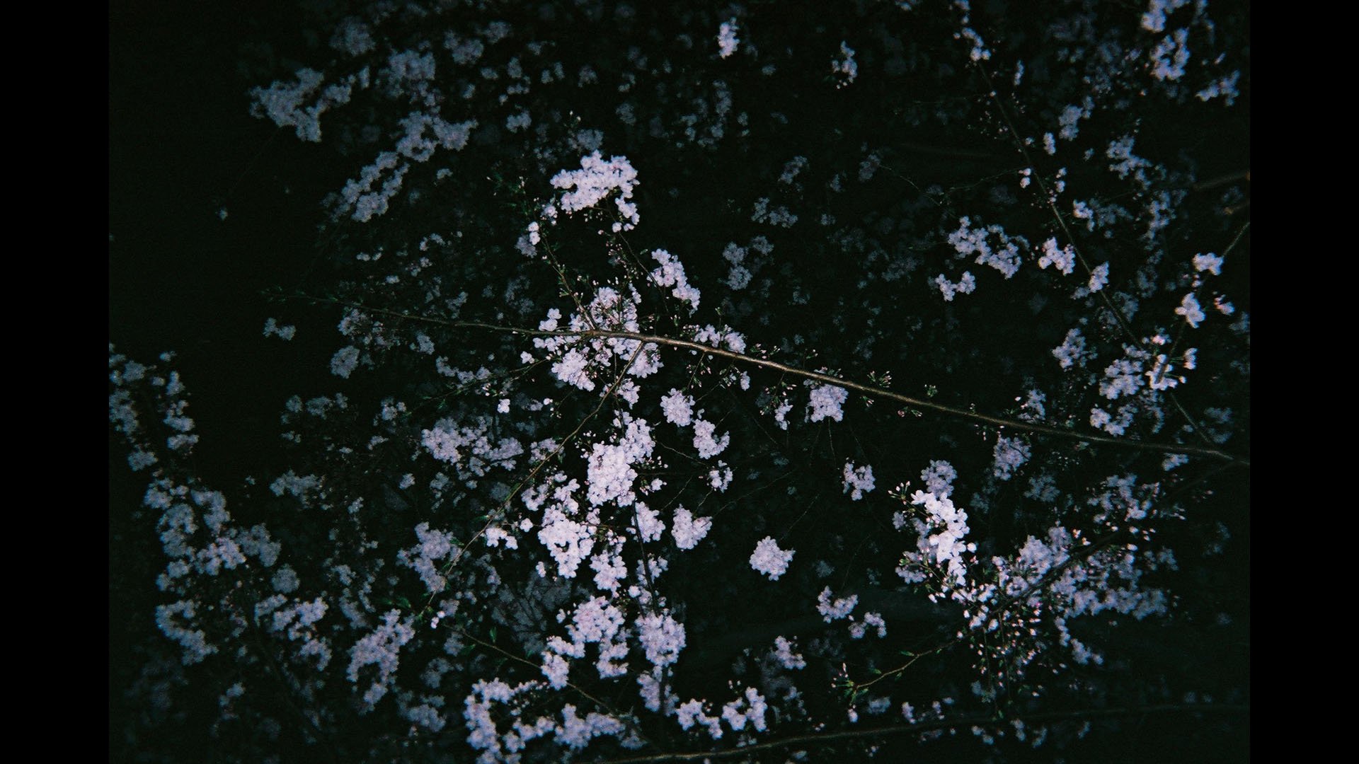 Anna Gabriele
at that luminous night
2019
___
analog photography (35mm)
series of three pictures
___
epoxy resin, luminous pigment on photo print, guitar string
H:45cm W:13cm D:1cm