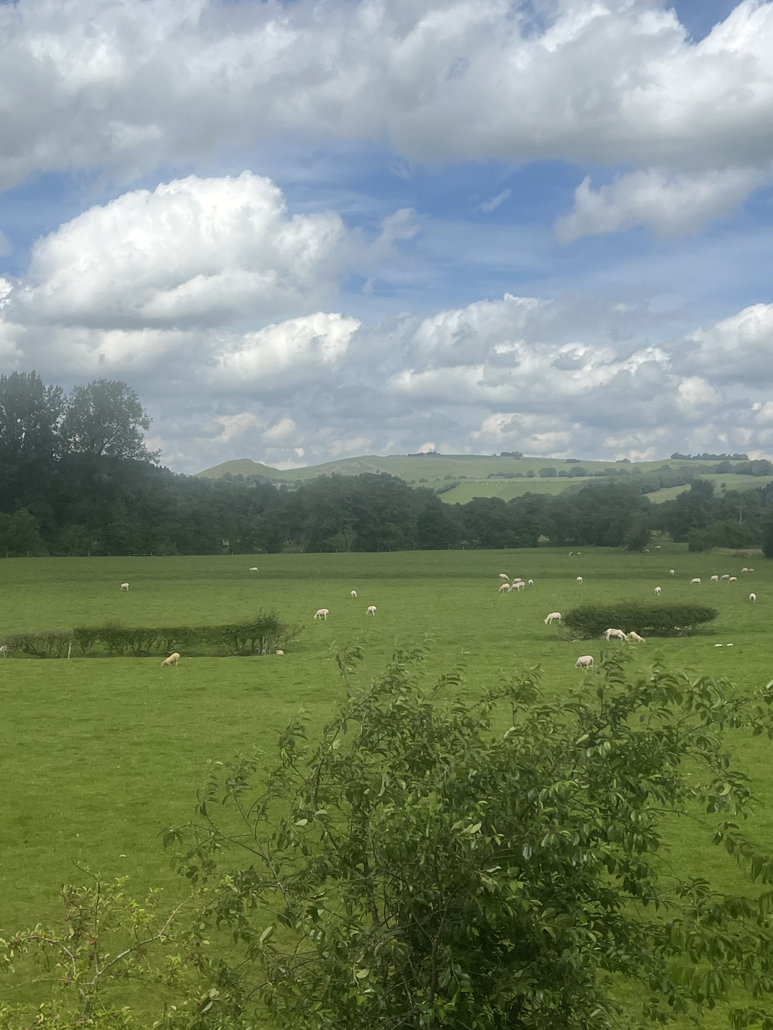 IMG_3970.jpeg