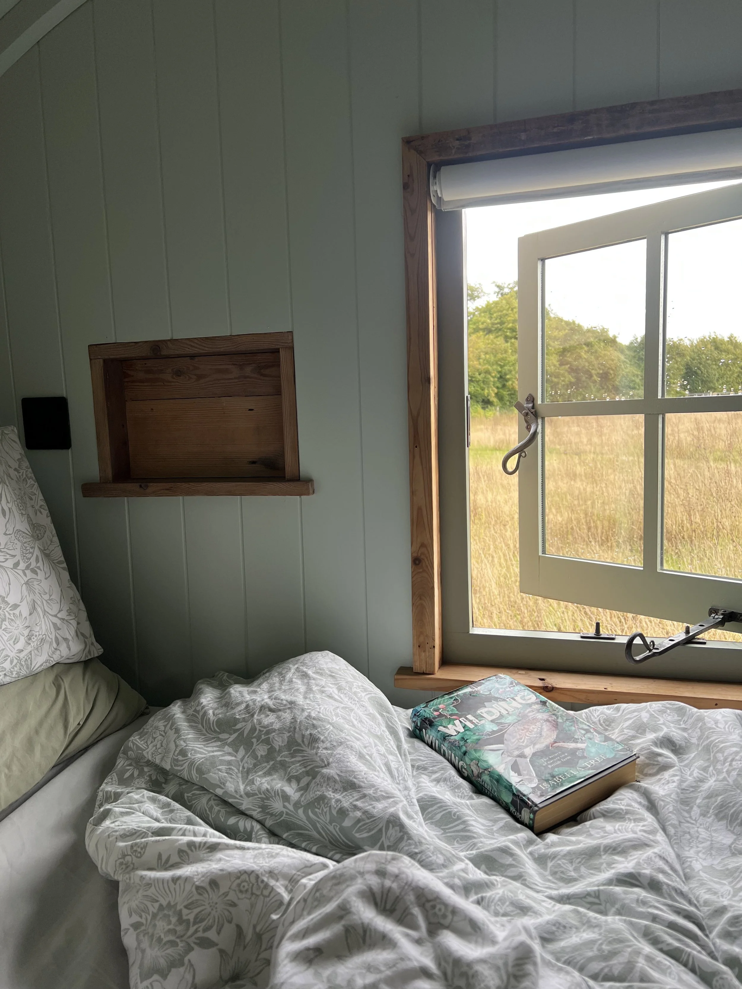Buttercup - our ecologically sensitive shepherds hut escape