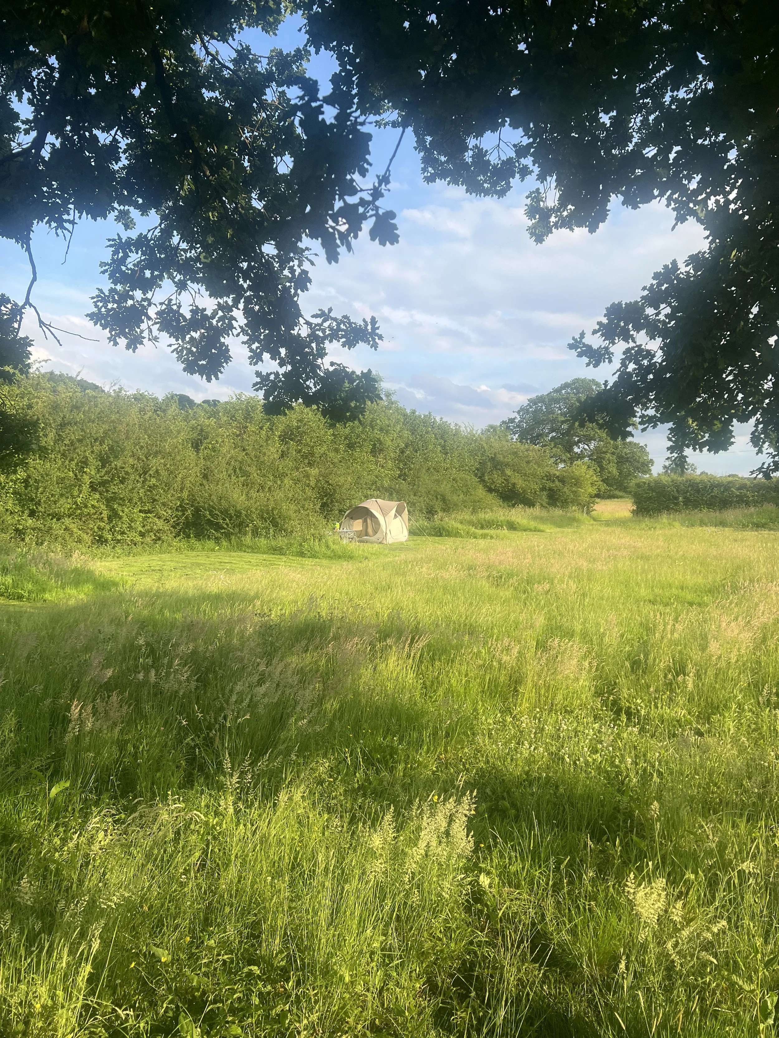 IMG_4039.jpeg