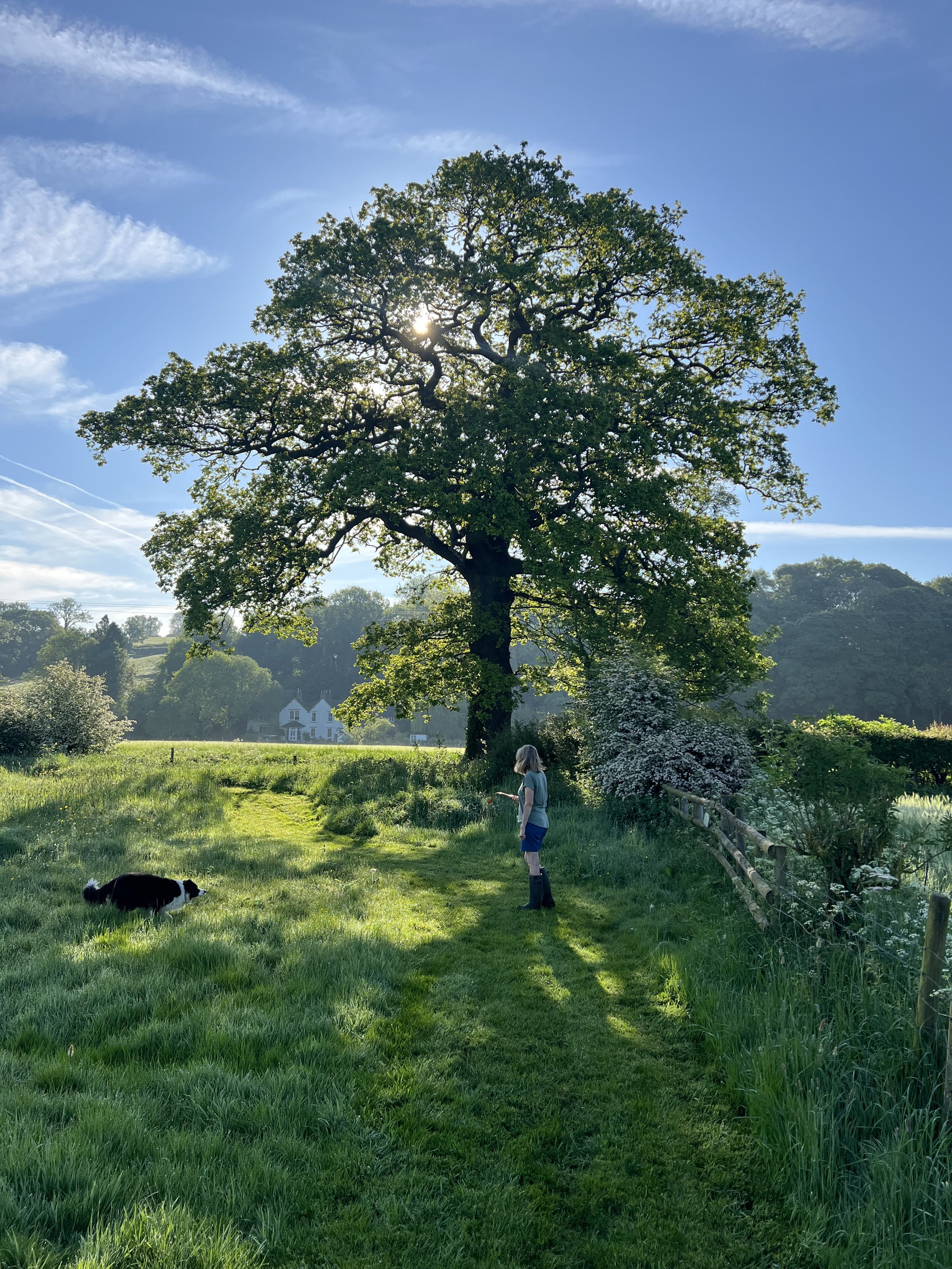 Pitch up or use ours - our ecologically sensitive campsite escape
