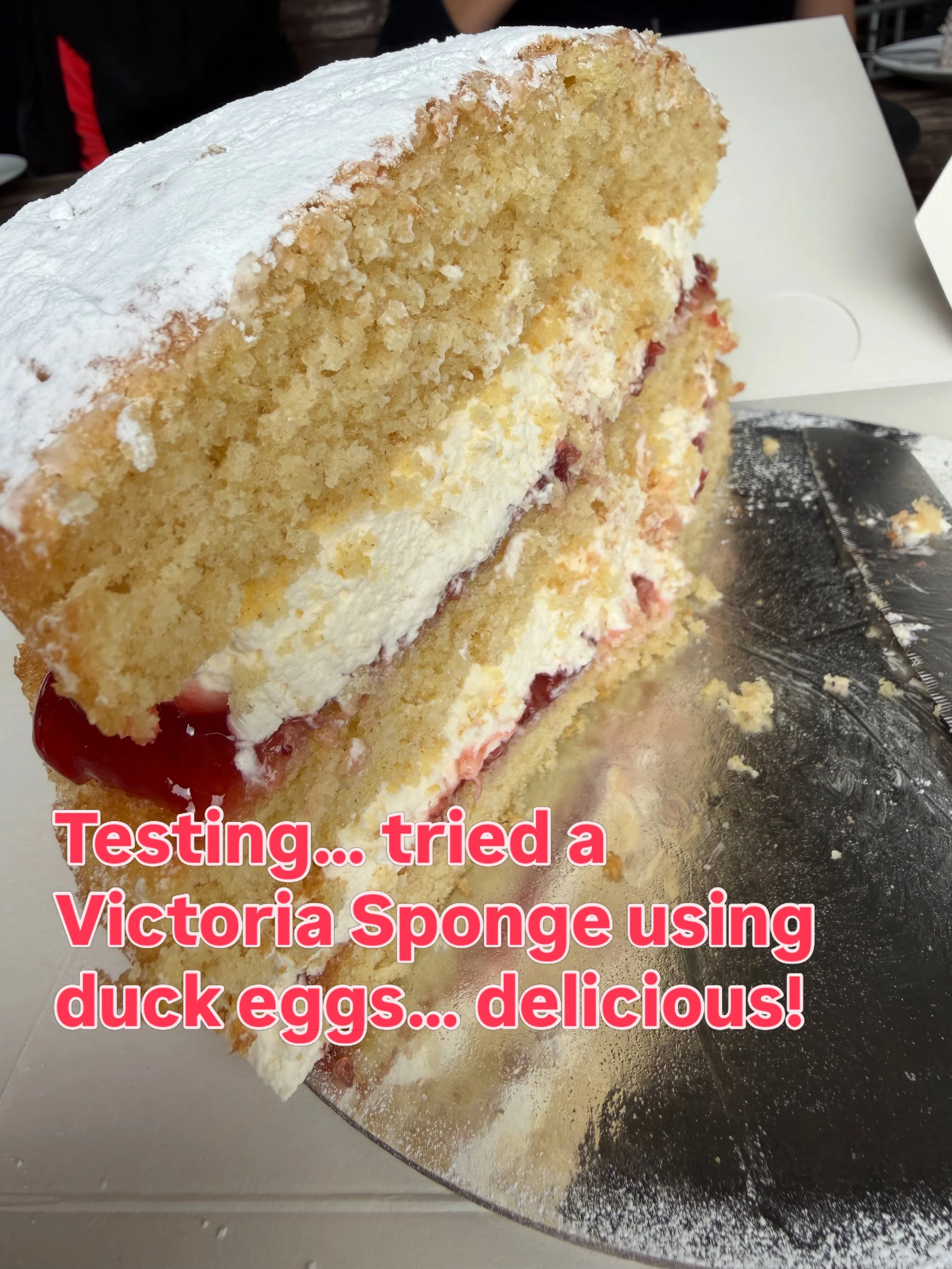 🦆🎂 BREAKING NEWS FROM THE WOBBLY CAKE CO. TEST KITCHEN&hellip;

After years of loyal service from chickens, a bold new recruit entered the baking laboratory: the duck.

Armed with a basket of duck eggs from @hale.farm.campsite and an unreasonable l