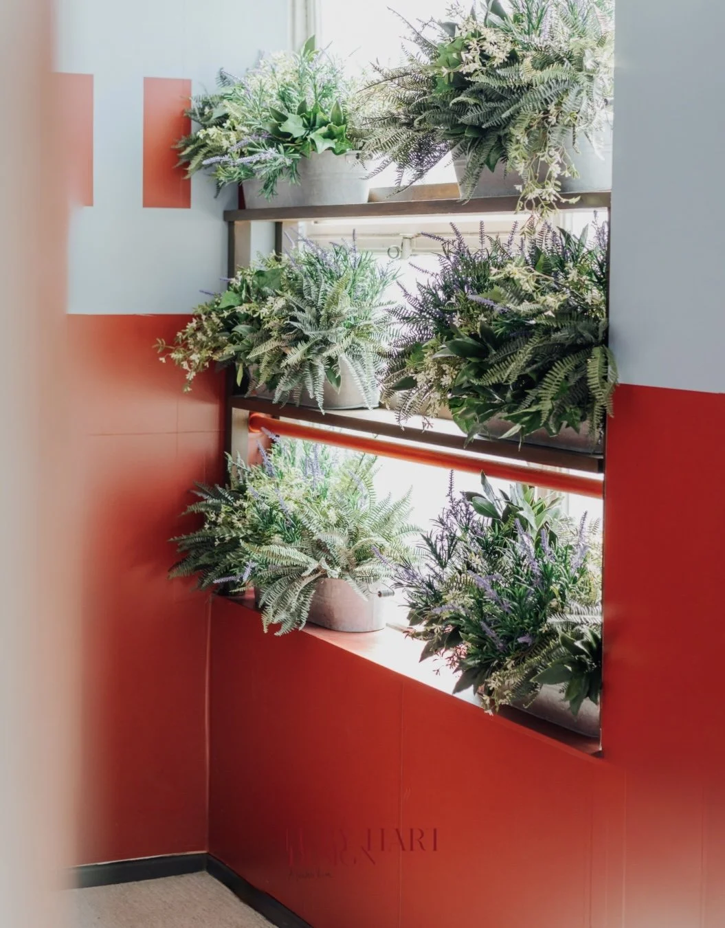 Untitled design - 1.jpeg