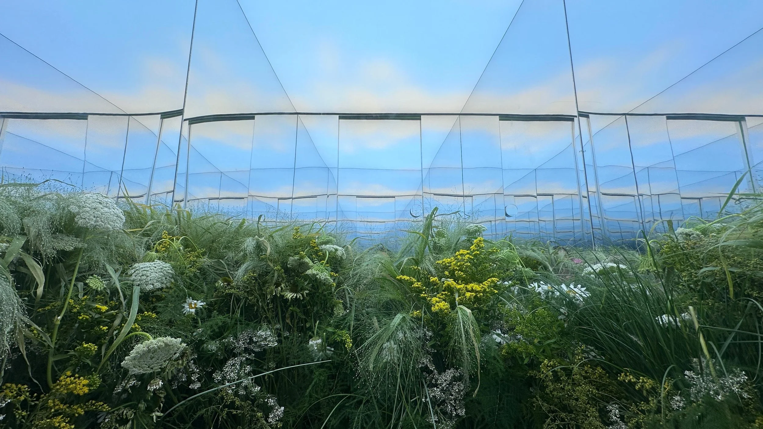 Large-scale floral backdrop for brand activation event