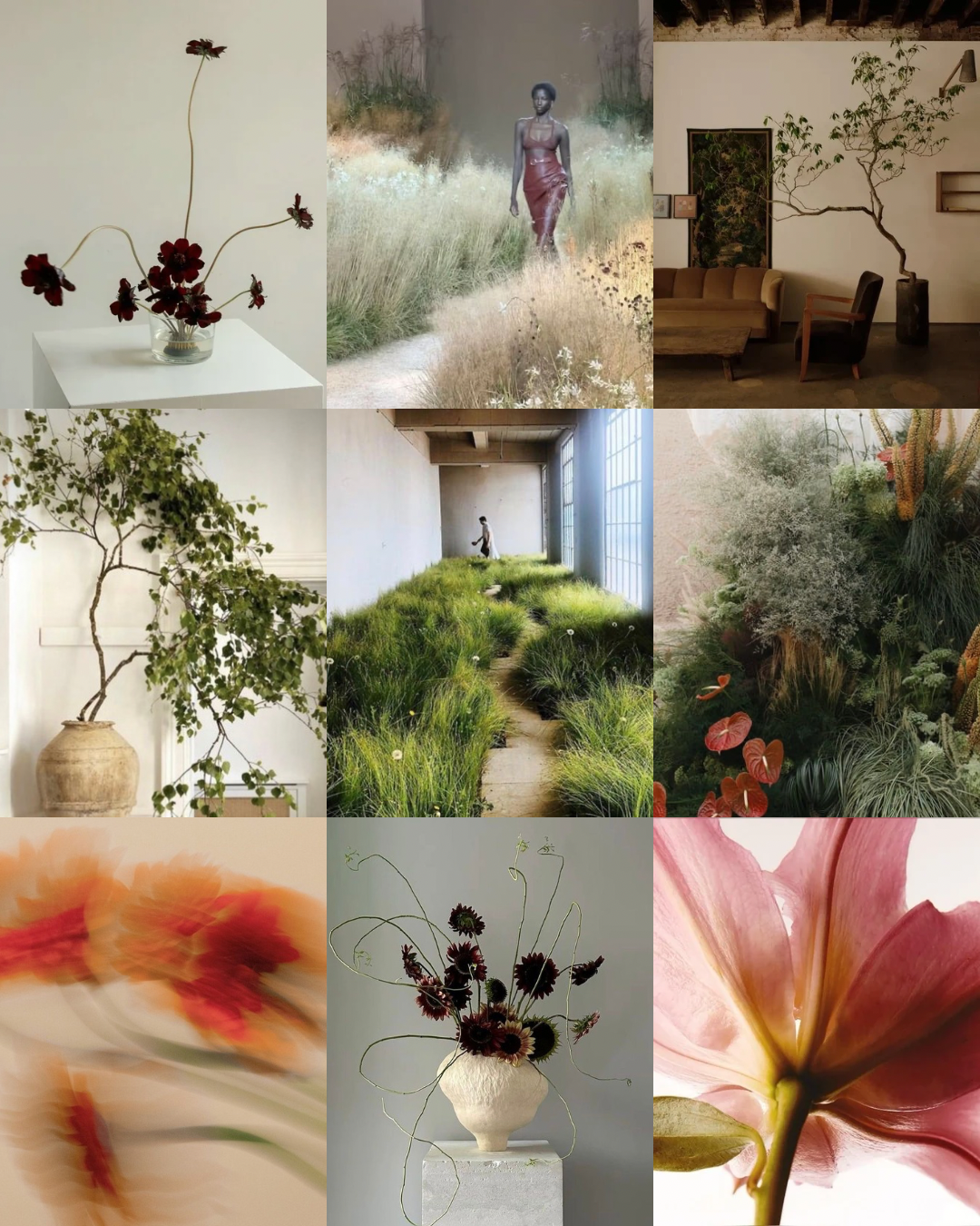 Design-led botanical concept mood board by Luby Hart Design