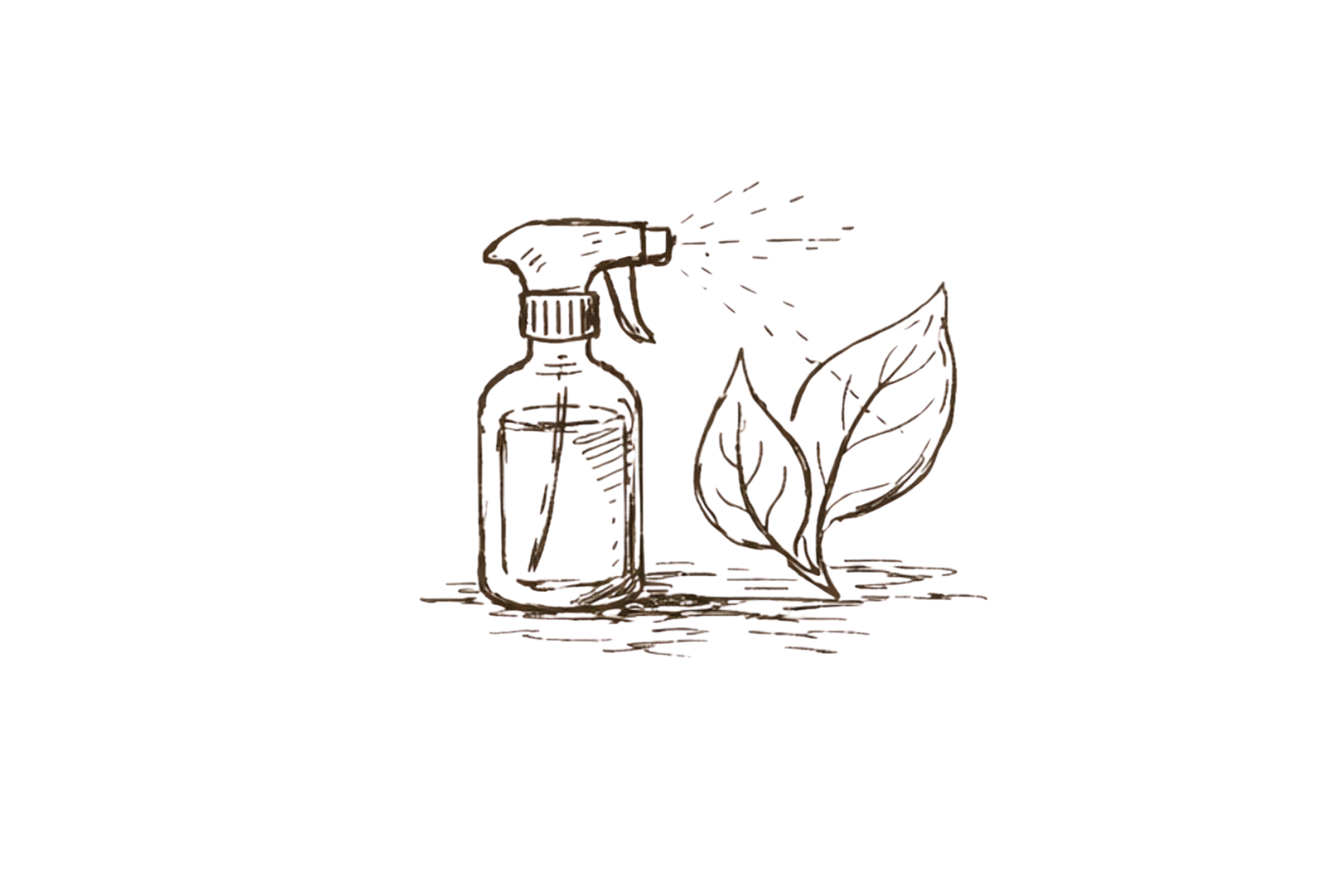 Step five: maintenance and aftercare for botanical installations