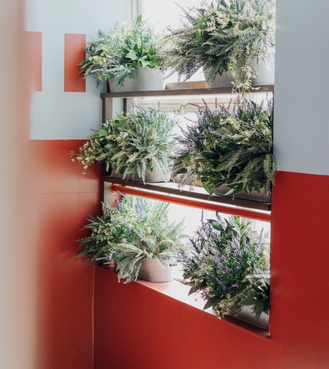 Overhead artificial planting installation in restaurant interior