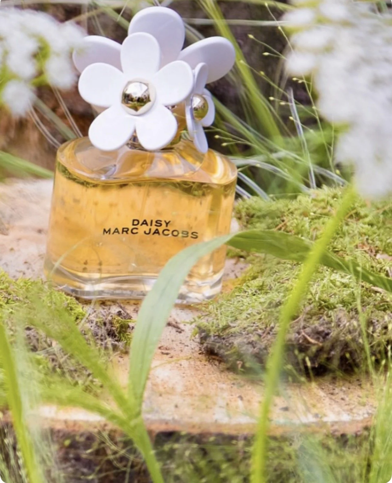 floral installation in covent garden