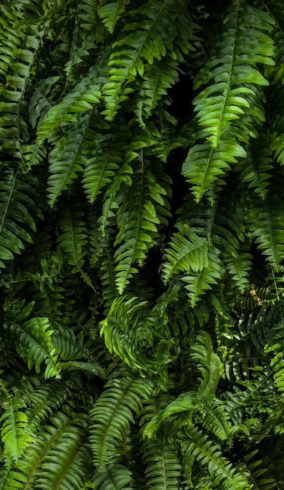 Artificial foliage material samples for specification