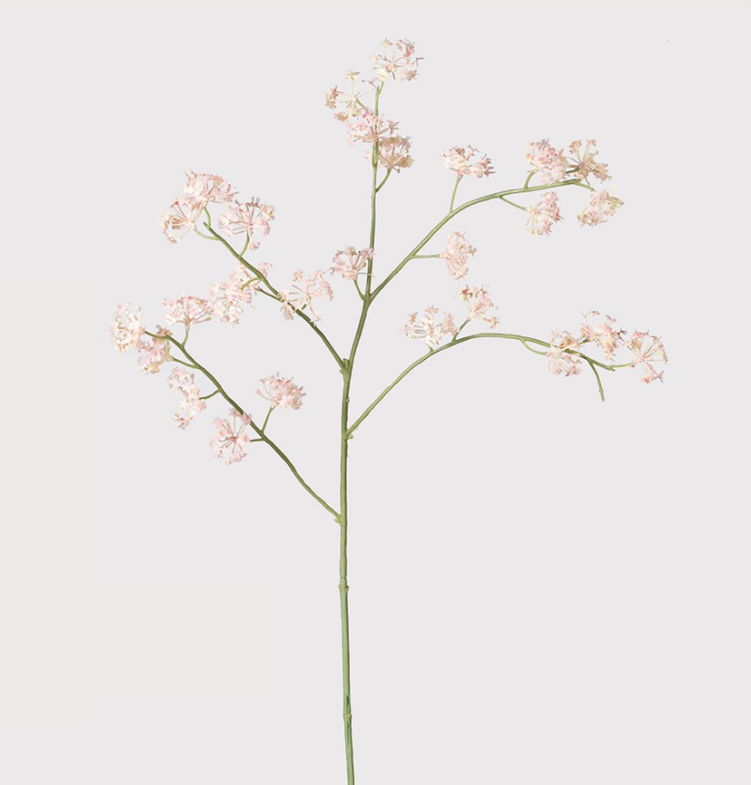 Screenshot 2026-06-29 125419.png