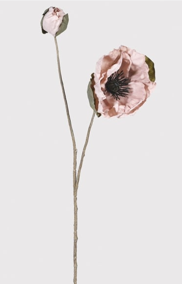 Picture1.png