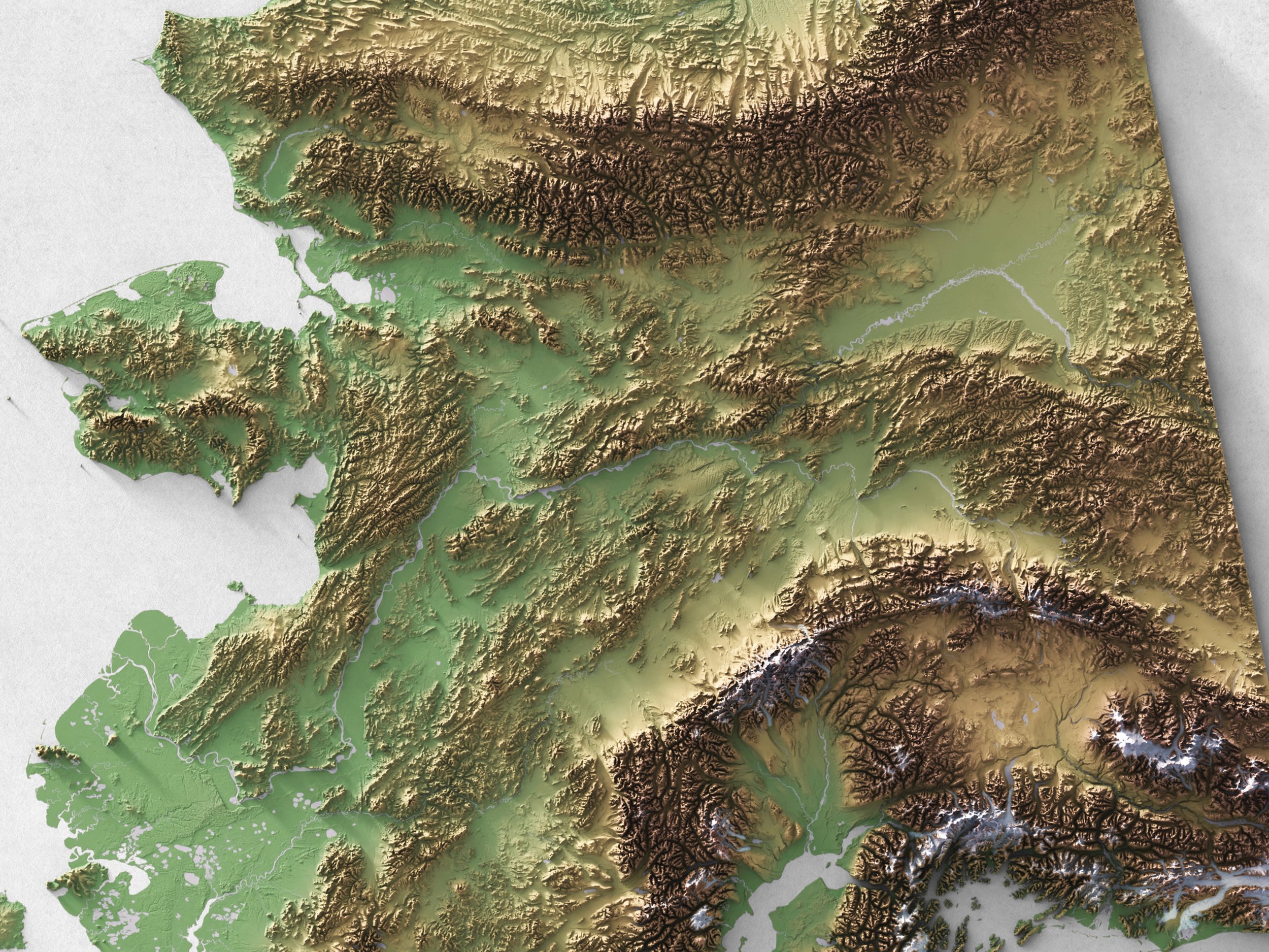 Detail_1.jpg