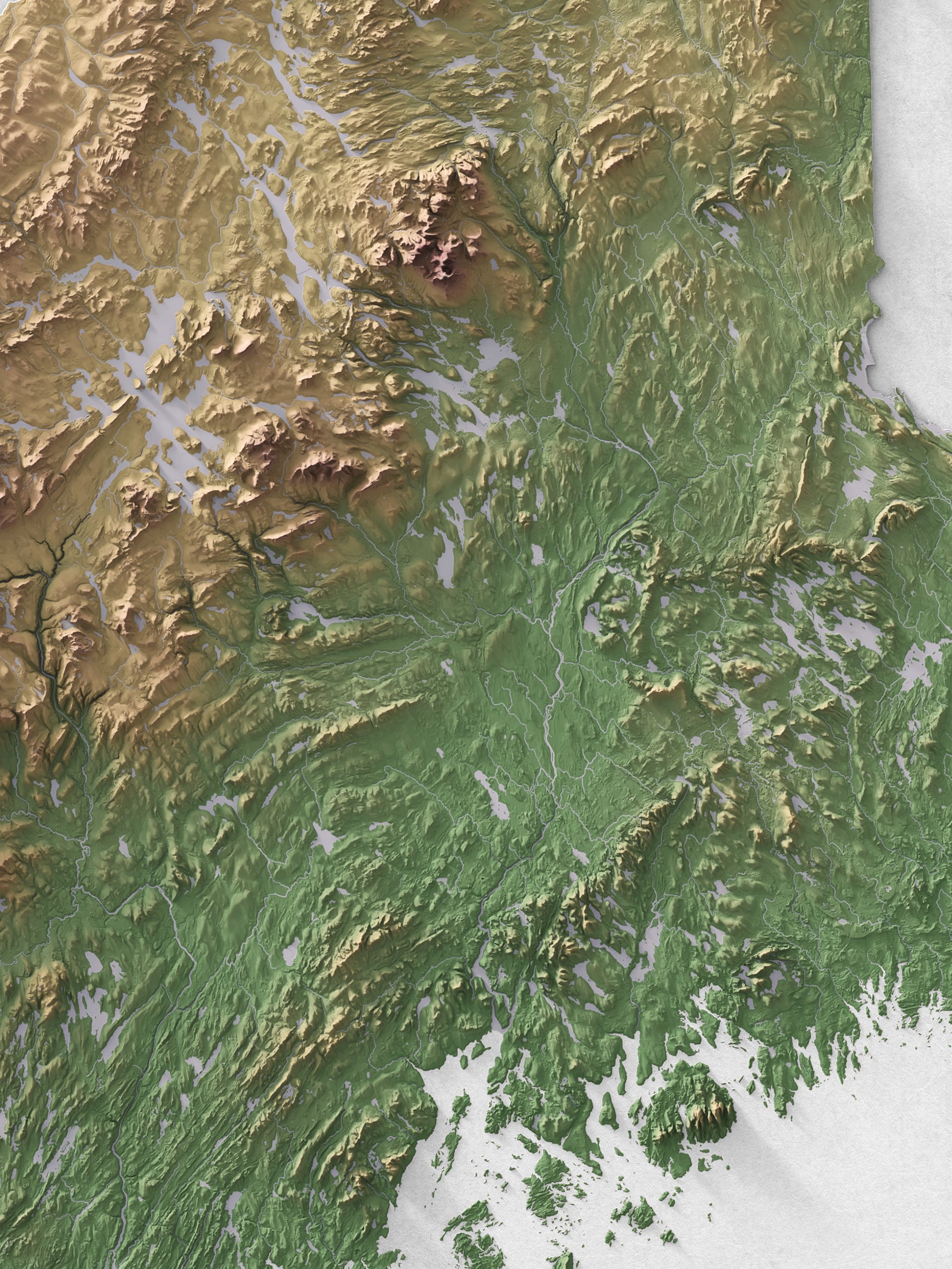 Detail_1.jpg