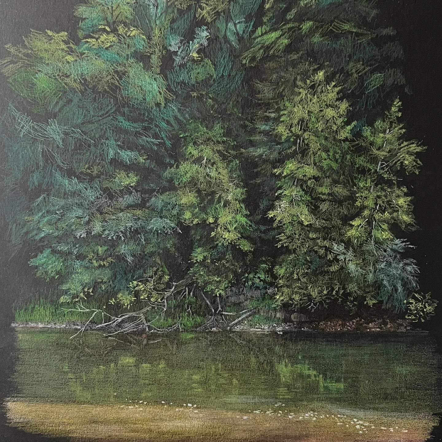 I&rsquo;m still working on water and trees. When I can&rsquo;t stare at the space between trees any longer I take a break and look at reflections. 
I&rsquo;m making it a taller drawing than you see here as that bank of trees interests me, it&rsquo;s 