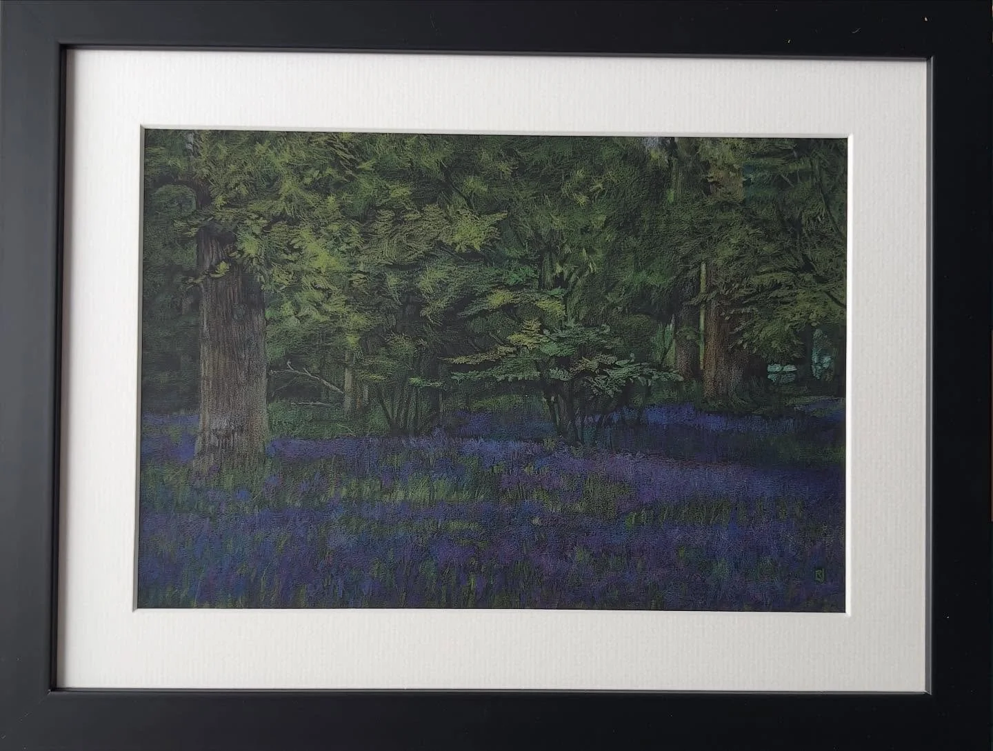 It&rsquo;s the final weekend of Pensychnant Conservation Open Exhibition 
Bluebell woods seem a distant memory as we head into autumn but they&rsquo;re always a favourite of mine. 
The exhibition, with Nature and Conservation as its theme is availabl