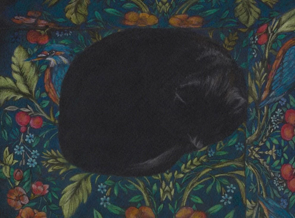 Black Cat Day
Every Day is Black Cat Day 🖤

Ronni settled down on the chair and I loved how the pattern and colour wrapped around her to define her shape. 
I tried to draw as little as possible on her so that the black paper did the rest. But you kn