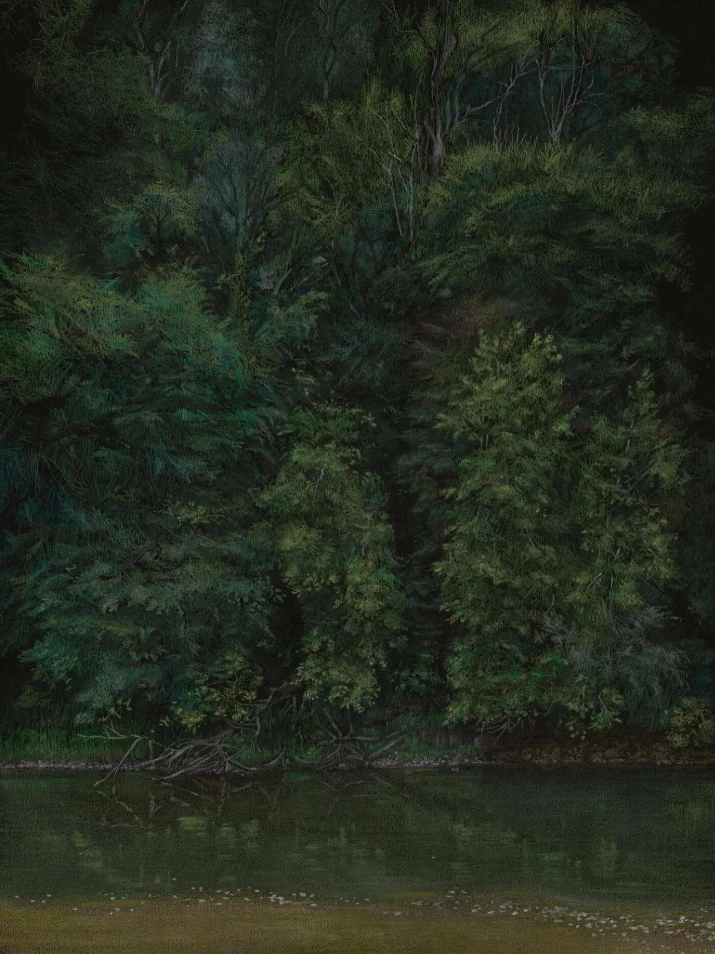 &lsquo;River Severn Trees&rsquo;

Polychromos coloured pencils on Fabriano paper. 
Whenever I visit @ironbridgefinearts I stand and watch the river Severn for a while. It&rsquo;s a powerful body of water especially when swelled with winter storms. 
T