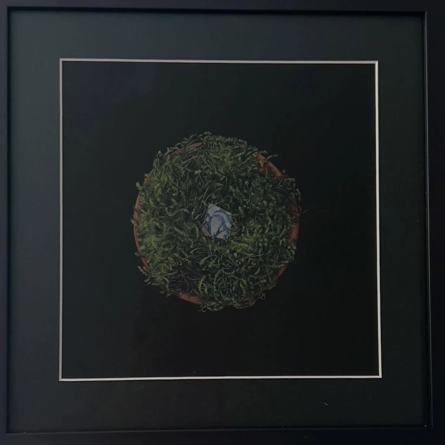 A lovely &lsquo;Congratulations&rsquo; email means I&rsquo;m very happy to say that my drawing &lsquo;Willow Pattern on Moss&rsquo; has been selected for the Royal Birmingham Society of Artists Friends exhibition.

The drawing is one of a series of d