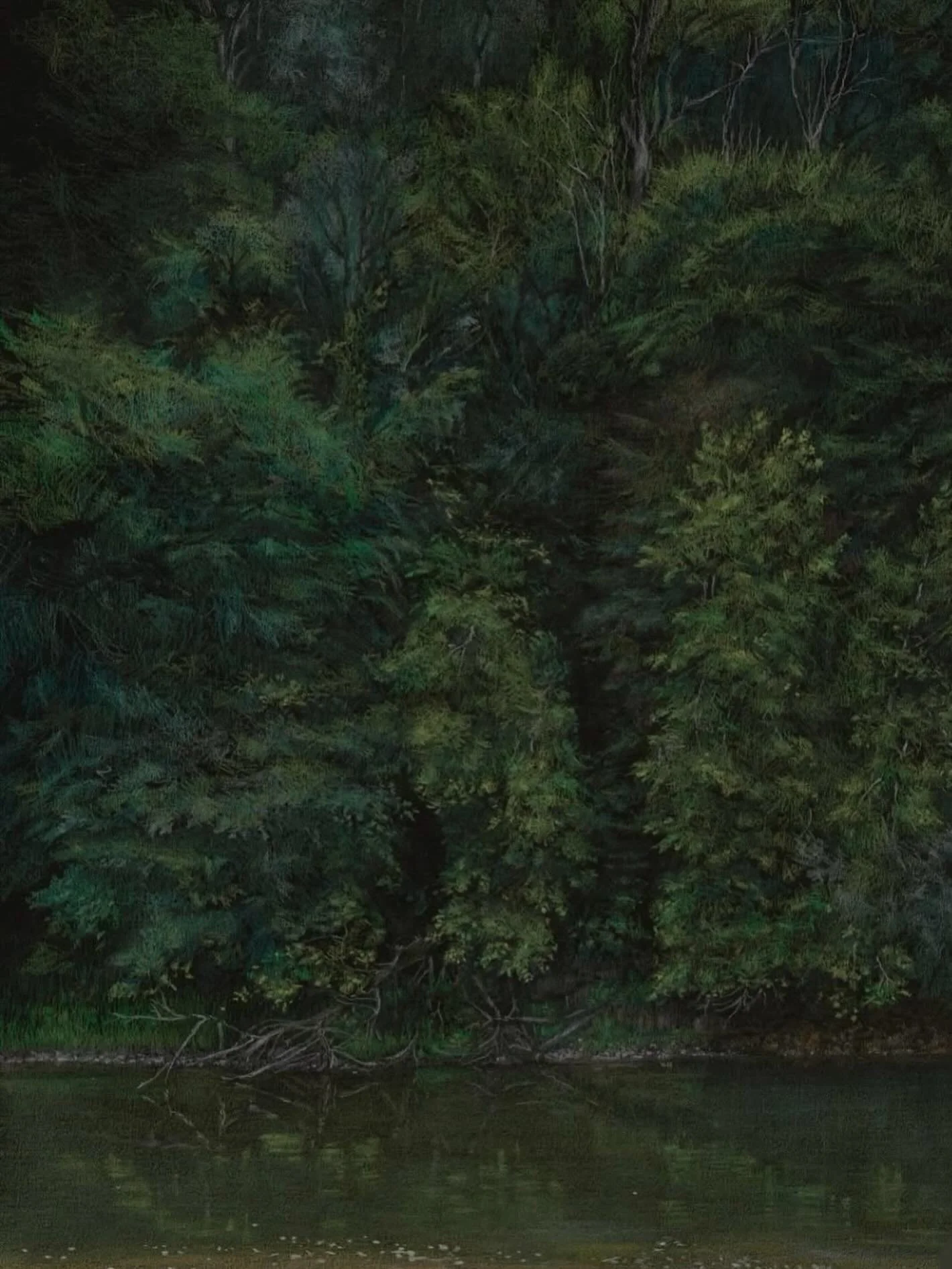 I&rsquo;m thrilled that my drawing 
&lsquo;River Severn Trees&rsquo; has been selected for the Ruskin Prize Exhibition 2026
&lsquo;Patience in Looking. Truth in Making&rsquo;

I can still hardly believe that out of nearly 4000 entries I&rsquo;m one o