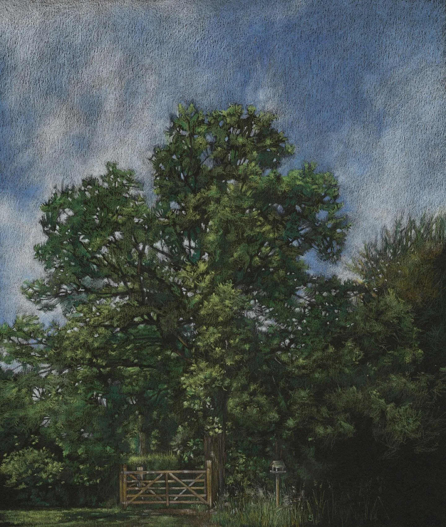 I&rsquo;m so happy to share that &lsquo;Midsummer Oak&rsquo; has been selected to be shown alongside work by other artists and creatives as part of @artskeele 
&lsquo;NEW NOW NEXT&lsquo; exhibition.

The exhibition which opens February 6th will showc