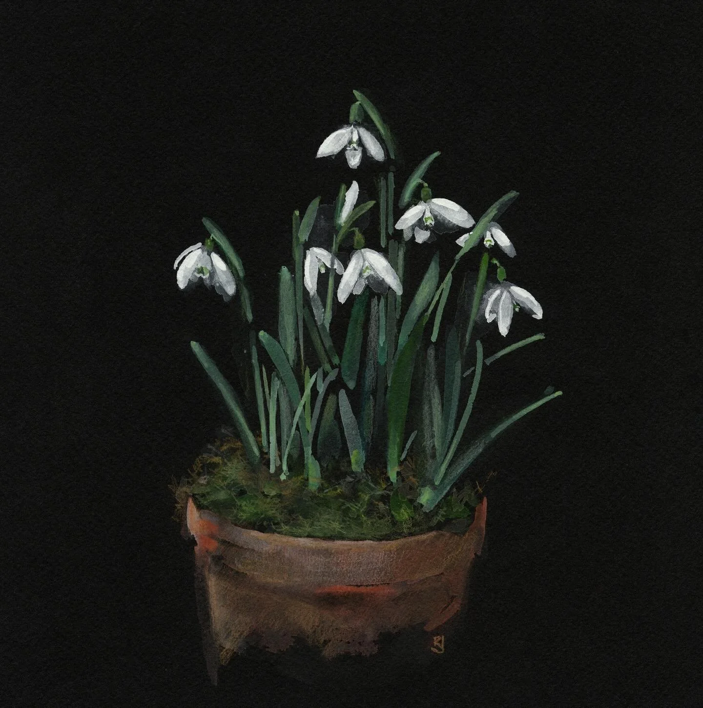 Snowdrop Season 🤍

Watercolour snowdrops with moss in an terracotta pot.

&lsquo;Snowdrops&rsquo;
Watercolour, gouache and coloured pencils on Stonehenge 300g paper.
Unframed- &pound;250

Available to own, for more details take a look at 
wwwrosejon