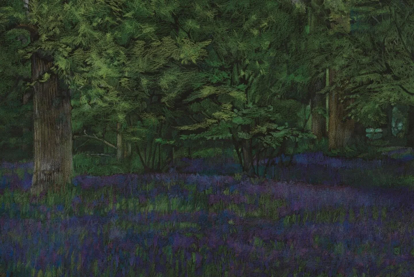 I noticed the first dusting of blue as I drove through some woods at the edge of Cannock Chase yesterday. 
It&rsquo;s my favourite time of year, everything so new and fresh.

&lsquo;One Day in May. Blue and Green&rsquo; 

Polychromos coloured pencils