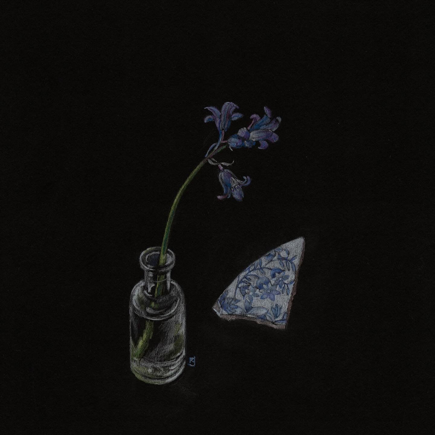 Bluebell season. 
Just the one, in a small bottle found in the garden and with a piece of china (also unearthed) which also has bluebells.

#polychromos #drawing #colouredpencils #bluebell #staffordshirepottery