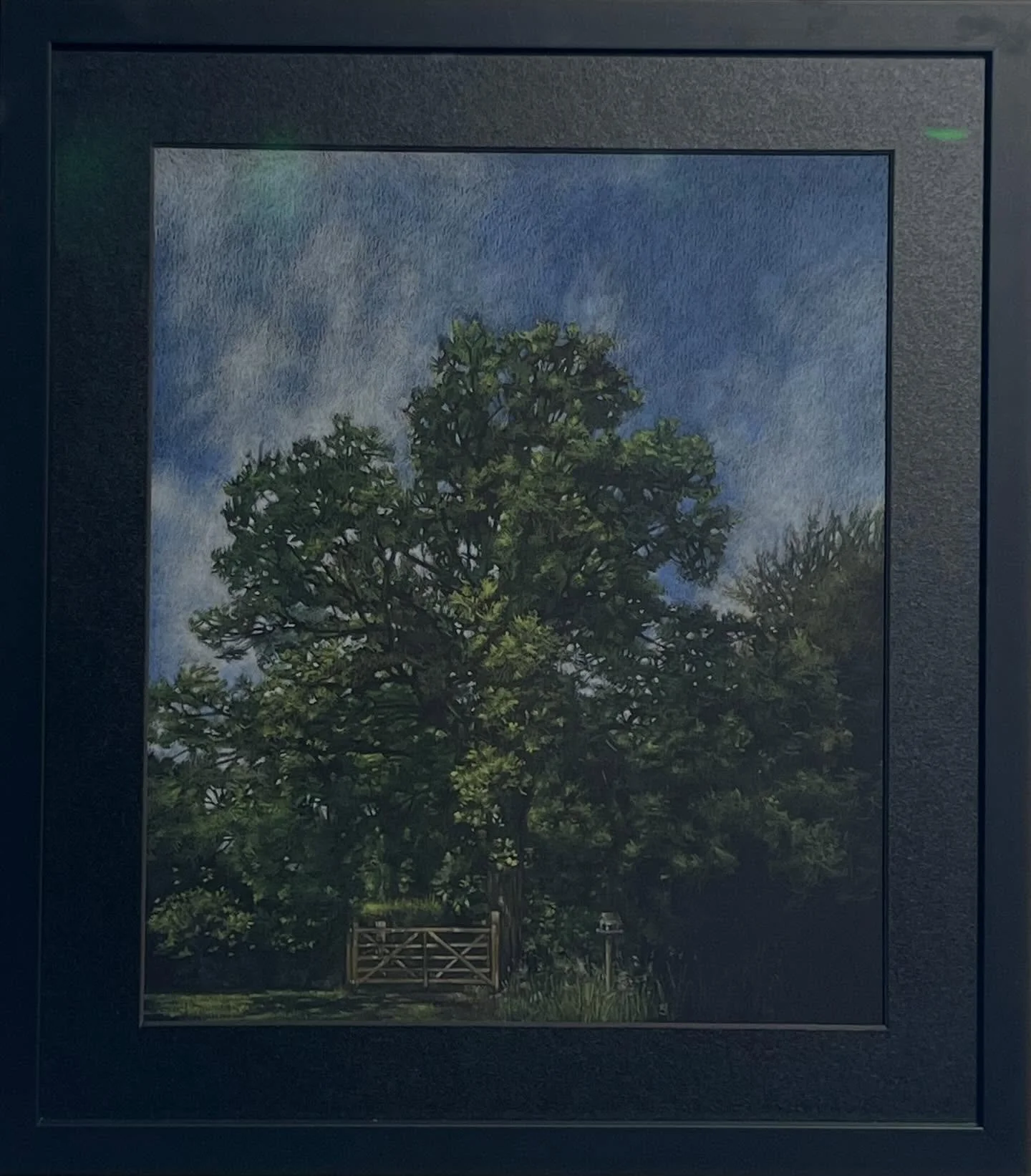 🔹The exhibition &lsquo;New. Now. Next&rsquo; in the Chancellors building at Keele University ends April 26th.

&ldquo;Midsummer Oak&rdquo;
Polychromos coloured pencils on Fabriano 300gsm paper.

A portrait of the oak tree that stands beside the gate