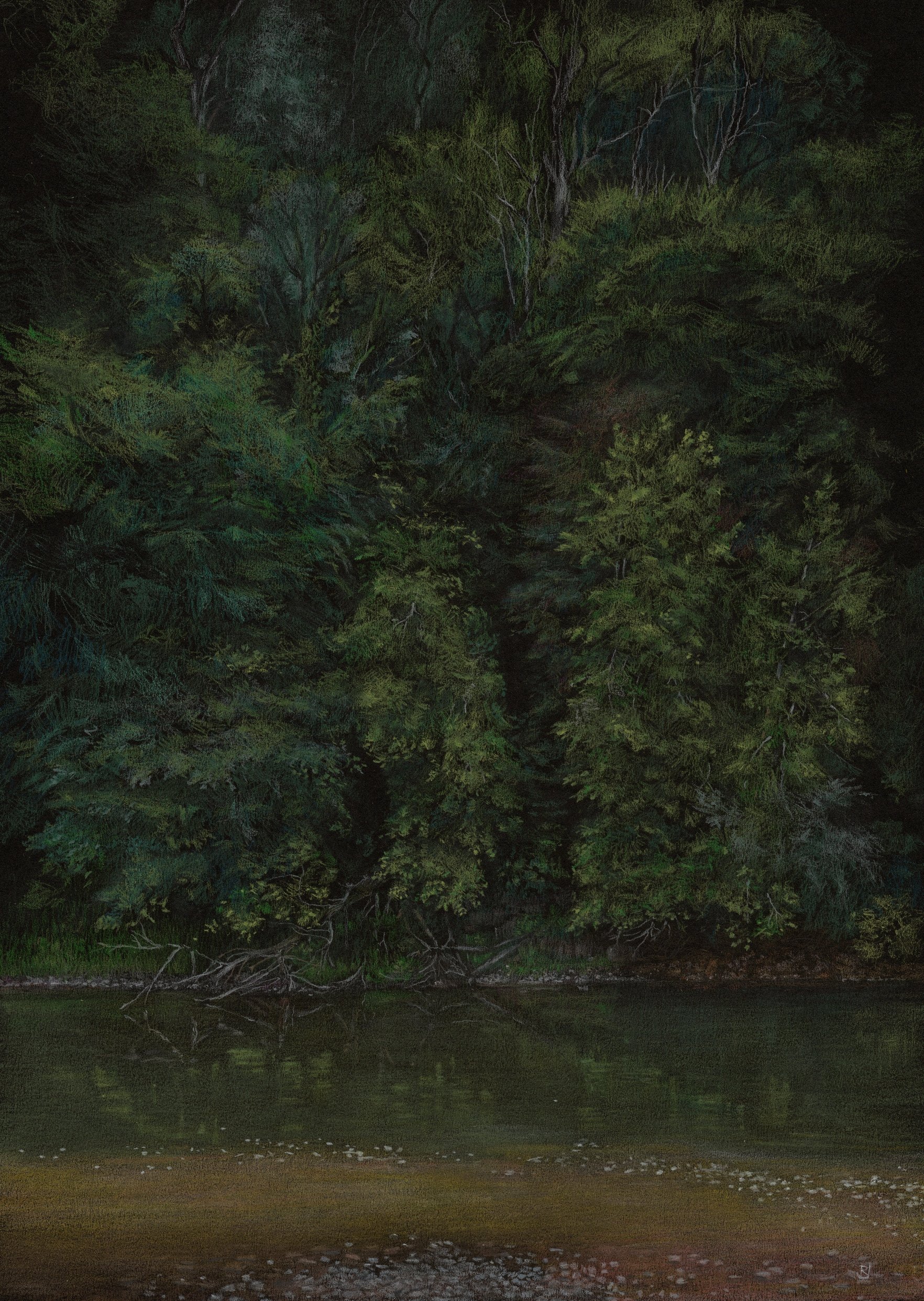 Rose Jones - River Severn Trees LR.jpg