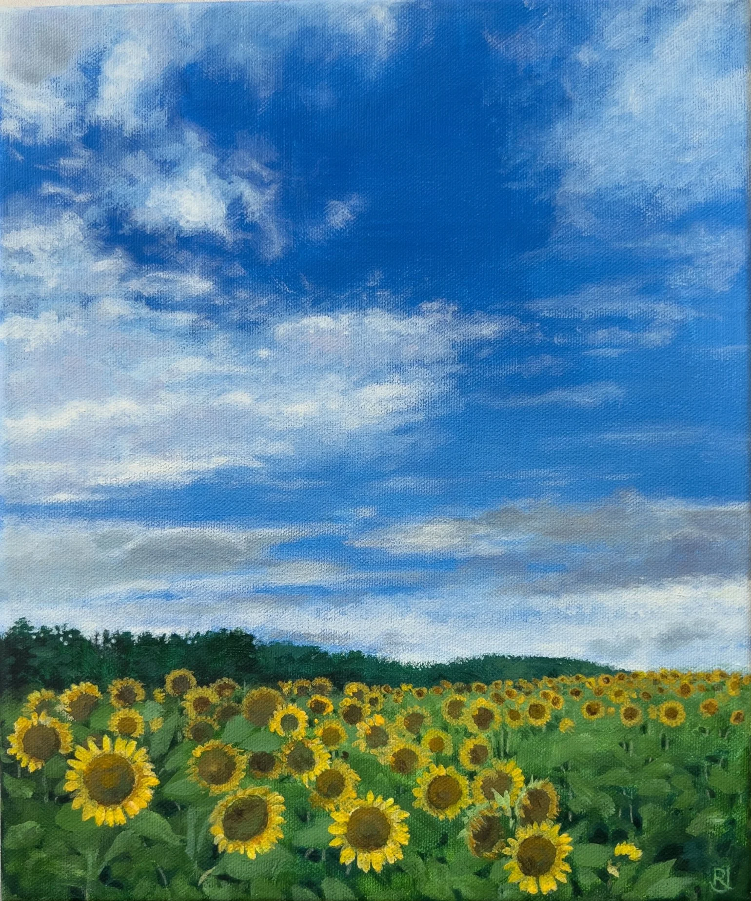 SUNFLOWER SKY 1.jpg